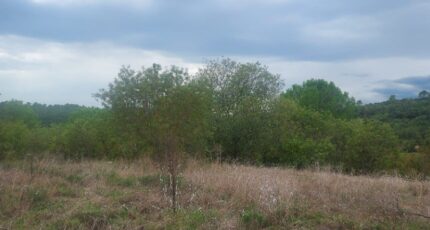 Barjols Terrain à bâtir - 2134490-9879annonce3202504163OACv.jpeg PCA Maisons