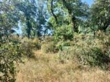 Terrain à bâtir à Camps-la-Source (83170) 2233700-9891annonce220250725lgFws.jpeg PCA Maisons