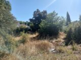 Terrain à bâtir à Camps-la-Source (83170) 2233700-9891annonce320250725TbLag.jpeg PCA Maisons