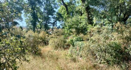 Camps-la-Source Maison neuve - 2233701-9891annonce920250725TixxI.jpeg PCA Maisons