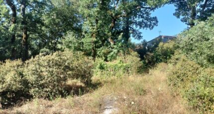 Camps-la-Source Maison neuve - 2233701-9891annonce320250725Q0DZK.jpeg PCA Maisons