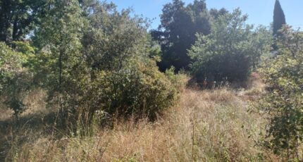 Camps-la-Source Maison neuve - 2233701-9891annonce620250725fsEQd.jpeg PCA Maisons