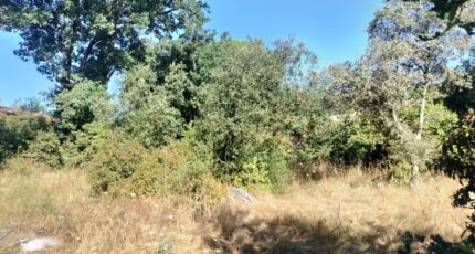 Camps-la-Source Maison neuve - 2233701-9891annonce520250725Zdi64.jpeg PCA Maisons