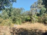 Maison à construire à Camps-la-Source (83170) 2233701-9891annonce82025072532nuh.jpeg PCA Maisons