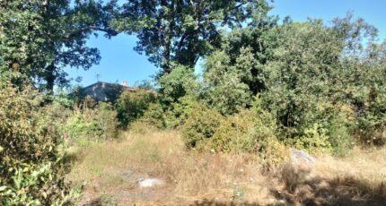 Camps-la-Source Maison neuve - 2233701-9891annonce9202507252qJfq.jpeg PCA Maisons