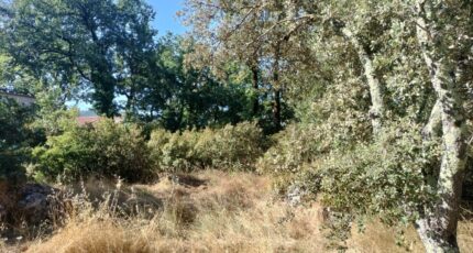 Camps-la-Source Maison neuve - 2233701-9891annonce820250725CN2OR.jpeg PCA Maisons