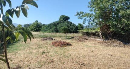 Le Luc Maison neuve - 2193115-9891annonce320250716Bf7K7.jpeg PCA Maisons