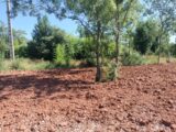 Maison à construire à Le Luc (83340) 2254398-9891annonce620250829dzgfM.jpeg PCA Maisons