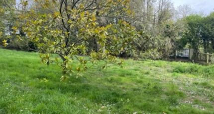 Le Castellet Maison neuve - 2272641-10025annonce320250916auegO.jpeg PCA Maisons