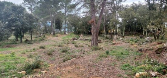 Terrain à bâtir à Montfort-sur-Argens, Provence-Alpes-Côte d'Azur