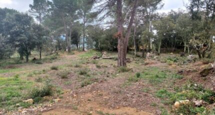 Montfort-sur-Argens Maison neuve - 2274348-10025annonce620250917AhAwc.jpeg PCA Maisons