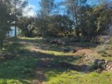 Maison à construire à Montfort-sur-Argens (83570) 2274348-10025annonce720250917TGTT5.jpeg PCA Maisons