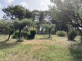 Terrain à bâtir à La Roquebrussanne (83136) 2275587-10025annonce1202509182zSfn.jpeg PCA Maisons