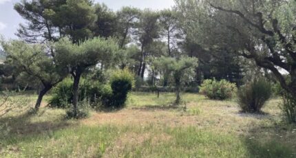 La Roquebrussanne Terrain à bâtir - 2275587-10025annonce1202509182zSfn.jpeg PCA Maisons