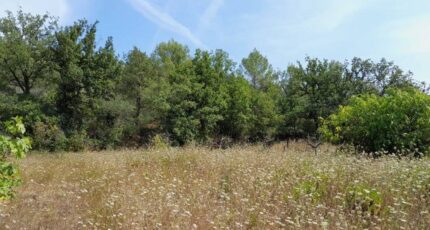 Camps-la-Source Maison neuve - 2279613-10025annonce220250922EoKzA.jpeg PCA Maisons