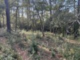 Maison à construire à La Roquebrussanne (83136) 2281346-10025annonce620250923wBNod.jpeg PCA Maisons