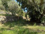 Terrain à bâtir à Carnoules (83660) 2282071-10025annonce420250924pTJpx.jpeg PCA Maisons