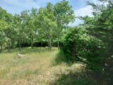 Terrain à bâtir à Régusse (83630) 2284497-10025annonce42025092614Cbs.jpeg PCA Maisons