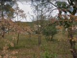 Maison à construire à Brignoles (83170) 2284702-10025annonce620250926Tf4Dq.jpeg PCA Maisons