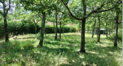 Régusse Maison neuve - 2284498-10025annonce820250926xzyTy.jpeg PCA Maisons