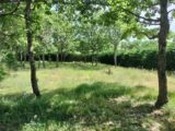 Maison à construire à Régusse (83630) 2284498-10025annonce920250926LtKyS.jpeg PCA Maisons