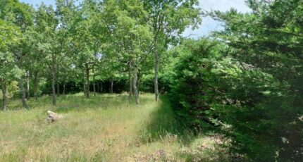 Régusse Maison neuve - 2284498-10025annonce720250926CT6FL.jpeg PCA Maisons