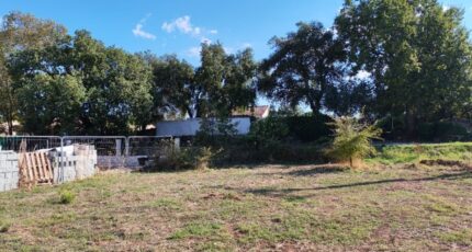 Le Cannet-des-Maures Maison neuve - 2287724-10025annonce9202509304Ptg0.jpeg PCA Maisons