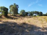 Maison à construire à Les Adrets-de-l’Estérel (83600) 2289575-10025annonce72025100165Xyc.jpeg PCA Maisons