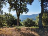 Maison à construire à Les Adrets-de-l’Estérel (83600) 2289575-10025annonce820251001etbGK.jpeg PCA Maisons