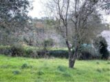 Maison à construire à La Roquebrussanne (83136) 2290534-10025annonce620251002kLL5T.jpeg PCA Maisons