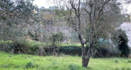 La Roquebrussanne Maison neuve - 2290534-10025annonce620251002kLL5T.jpeg PCA Maisons