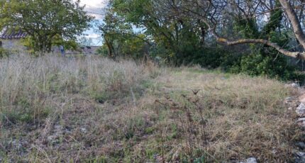 Carnoules Maison neuve - 2295494-10025annonce620251006bRMUE.jpeg PCA Maisons