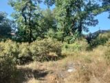 Maison à construire à Camps-la-Source (83170) 2295890-10025annonce720251006NyFNn.jpeg PCA Maisons