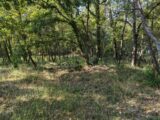 Terrain à bâtir à Trans-en-Provence (83720) 2308359-10025annonce2202510160CkMw.jpeg PCA Maisons