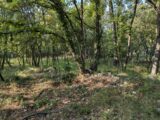 Terrain à bâtir à Trans-en-Provence (83720) 2308359-10025annonce320251016z8L1v.jpeg PCA Maisons
