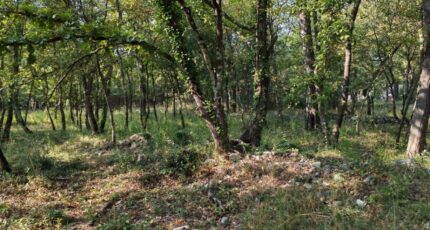 Trans-en-Provence Terrain à bâtir - 2308359-10025annonce320251016z8L1v.jpeg PCA Maisons