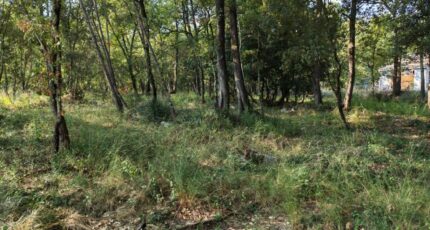 Trans-en-Provence Terrain à bâtir - 2308359-10025annonce520251016urQyt.jpeg PCA Maisons