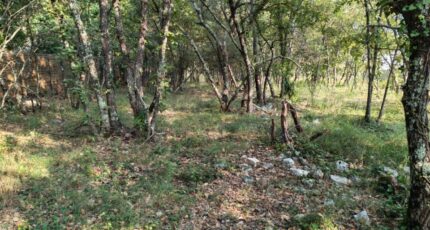 Trans-en-Provence Terrain à bâtir - 2308359-10025annonce220251016QrreC.jpeg PCA Maisons