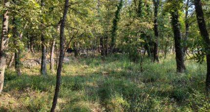 Trans-en-Provence Terrain à bâtir - 2308359-10025annonce420251016RqFIJ.jpeg PCA Maisons