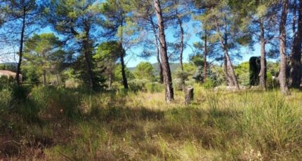 Brignoles Terrain à bâtir - 2312769-10025annonce420251021lR8xd.jpeg PCA Maisons