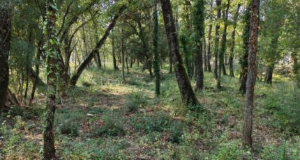 Trans-en-Provence Maison neuve - 2308371-10025annonce1020251016bCBfH.jpeg PCA Maisons