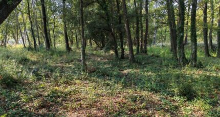 Trans-en-Provence Maison neuve - 2308371-10025annonce920251016IxmXS.jpeg PCA Maisons