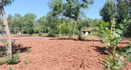 Le Luc Terrain à bâtir - 2254395-9891annonce220250829Nz7Xf.jpeg PCA Maisons