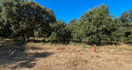 Les Mayons Maison neuve - 2287771-10025annonce620250930c4DqP.jpeg PCA Maisons