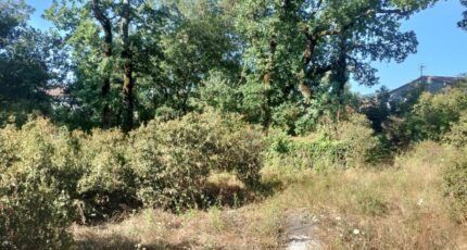 Camps-la-Source Maison neuve - 2295890-10025annonce720251006NyFNn.jpeg PCA Maisons