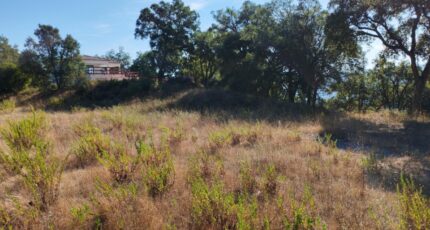 Les Adrets-de-l'Estérel Maison neuve - 2289575-10025annonce520251001iCbql.jpeg PCA Maisons