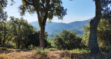 Les Adrets-de-l'Estérel Maison neuve - 2289575-10025annonce820251001etbGK.jpeg PCA Maisons