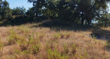 Les Adrets-de-l'Estérel Maison neuve - 2289575-10025annonce620251006bzFQl.jpeg PCA Maisons