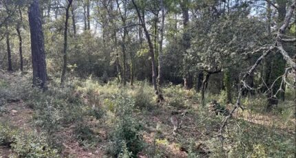 La Roquebrussanne Terrain à bâtir - 2281340-10025annonce120250923Savif.jpeg PCA Maisons