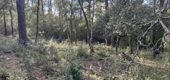 Terrain à bâtir à La Roquebrussanne, Provence-Alpes-Côte d'Azur